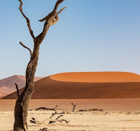 掌握汽車貸款:如何為您的財務目標謀得最佳交易 6 namibia 4965457 960 720