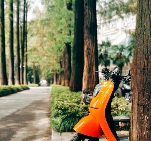 park 5603411 960 720