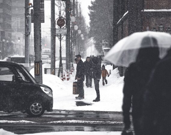 black 4932530 960 720