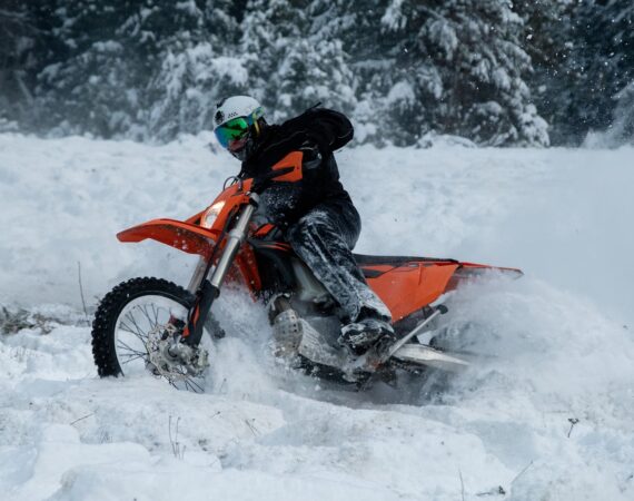 pexels photo 10664512