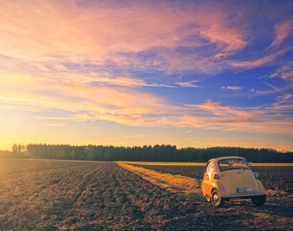 pexels photo 1110674