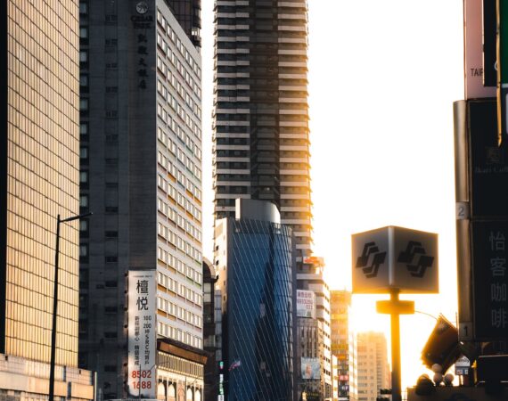 pexels photo 13412719