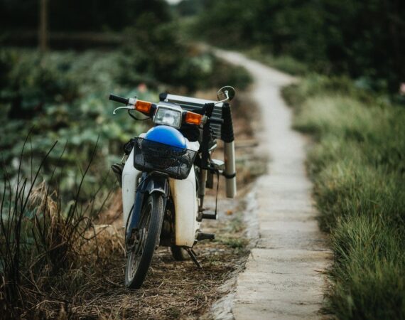 pexels photo 1438515