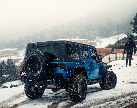 pexels photo 15253379