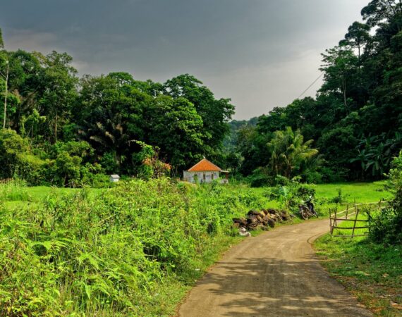 pexels photo 1559394