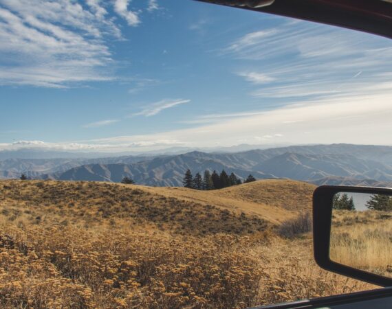 pexels photo 1578833