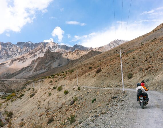 pexels photo 15804646