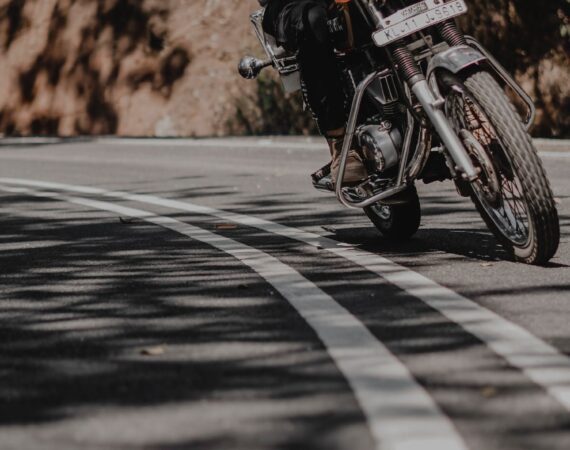 pexels photo 15846487