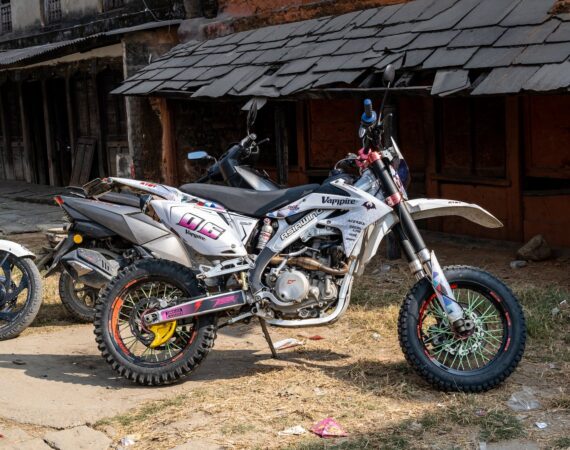 pexels photo 15846645