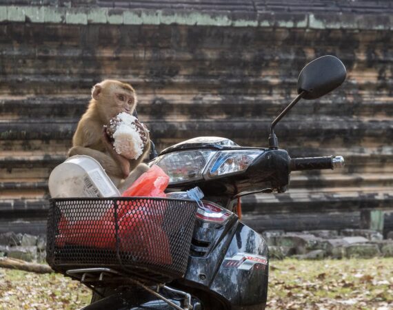 pexels photo 15893989