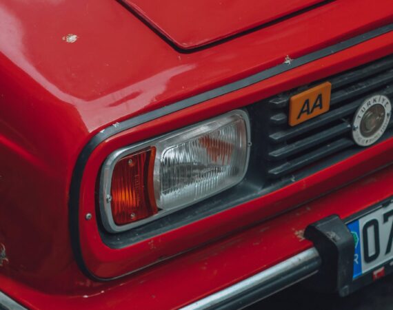 pexels photo 15895513