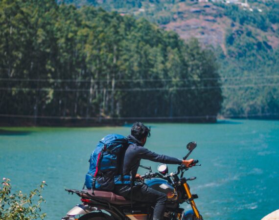 pexels photo 15896643