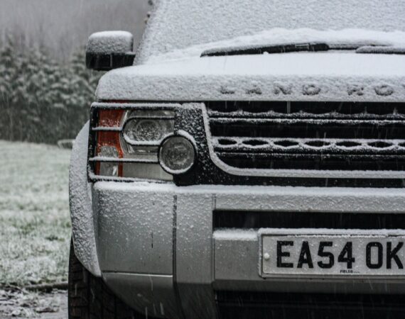 pexels photo 15897022