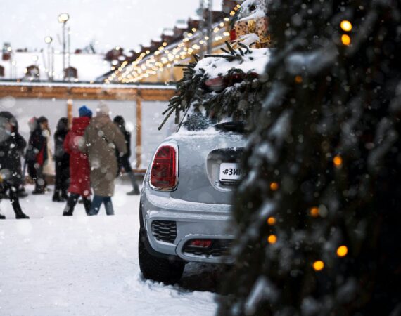 pexels photo 15900207