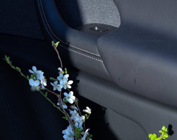 pexels photo 15912587