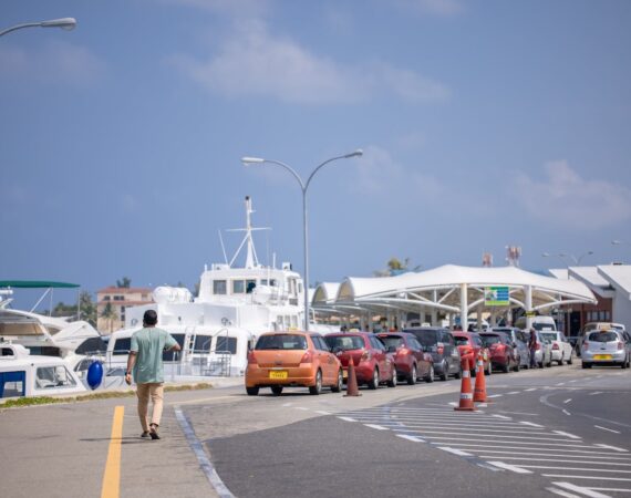 pexels photo 15923437