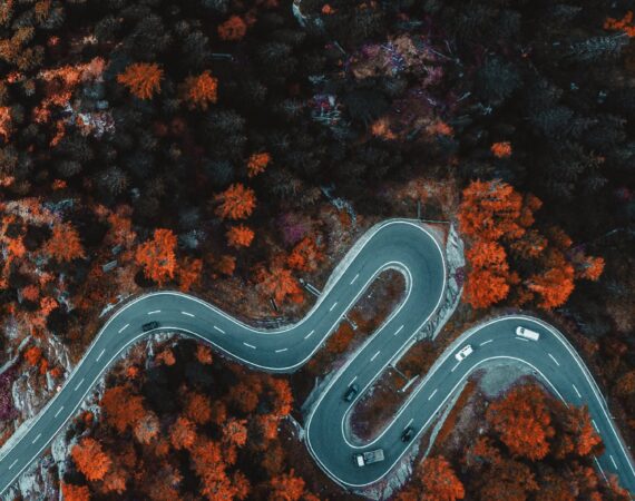 pexels photo 1612461