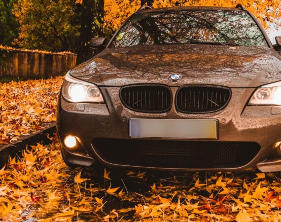 pexels photo 1632028