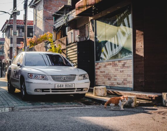 pexels photo 1637805