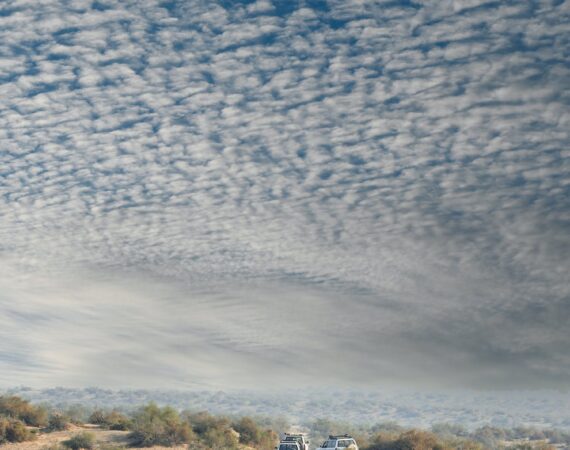 pexels photo 16952429