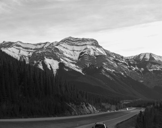 pexels photo 16958360