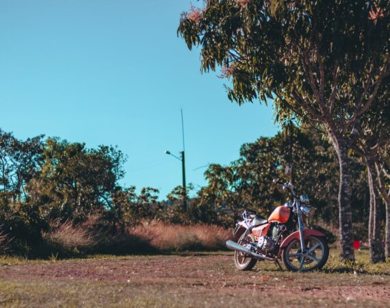 pexels photo 1765713