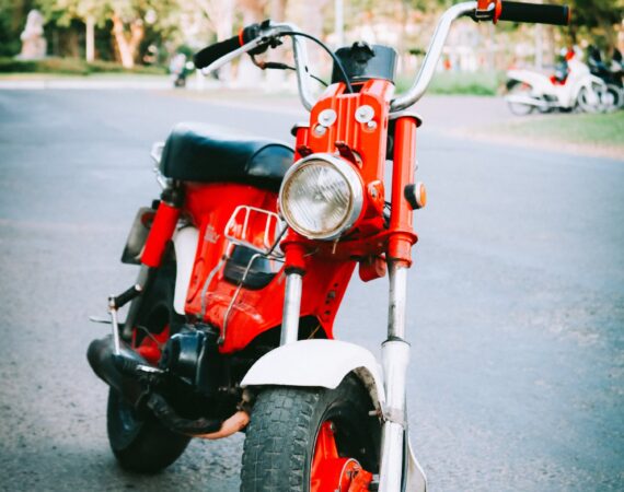 pexels photo 2044871