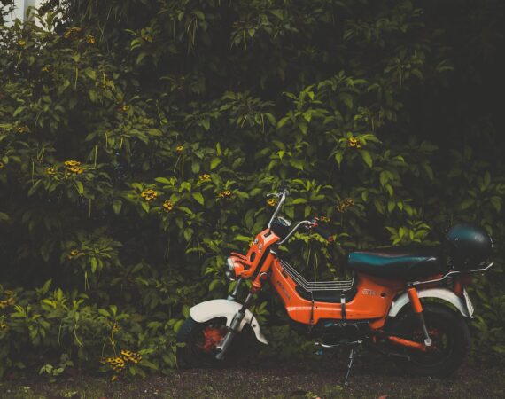 pexels photo 2044877