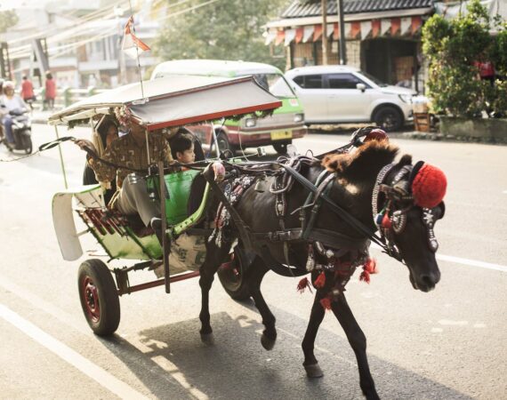 pexels photo 2082634