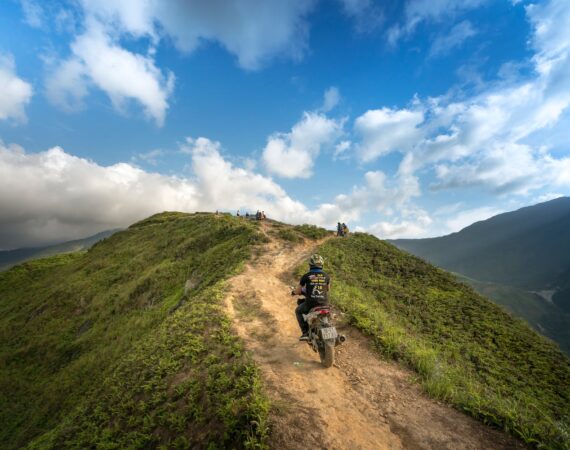 pexels photo 2132174