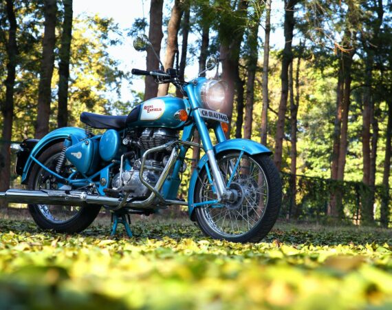 pexels photo 2393831