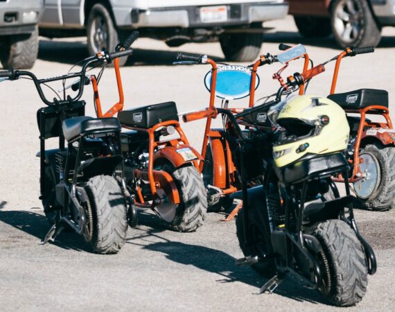 pexels photo 2445694