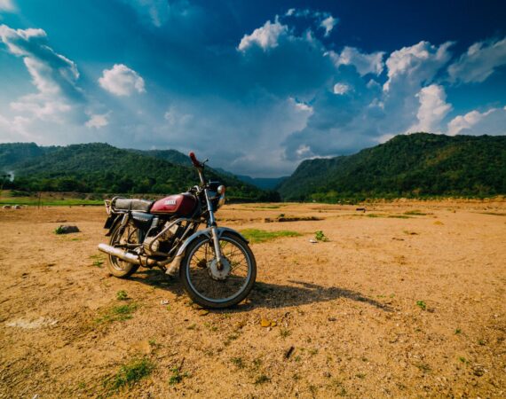 pexels photo 2888312