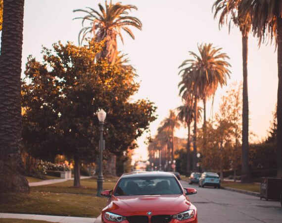 pexels photo 3166786