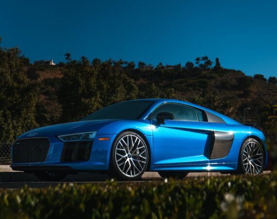 pexels photo 3221163