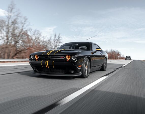 pexels photo 3311574