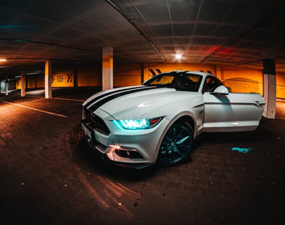 pexels photo 3349460