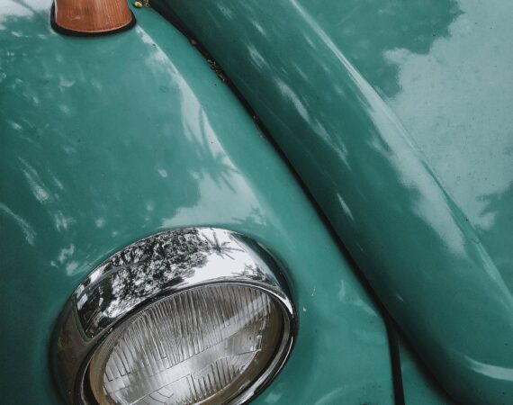 pexels photo 3354641