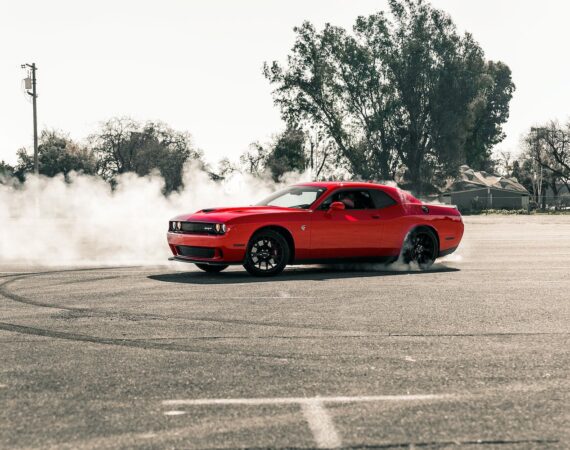 pexels photo 3608542