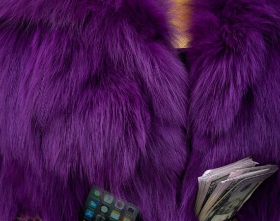 pexels photo 3953387