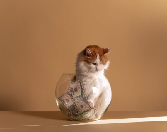 pexels photo 5909808