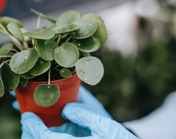 pexels photo 6280461