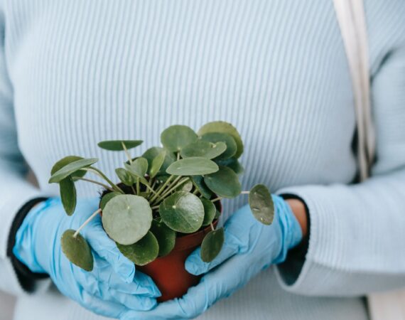 pexels photo 6280471