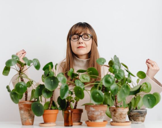 pexels photo 6640440