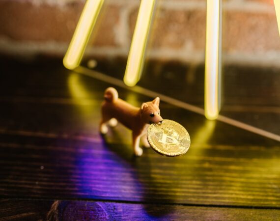 pexels photo 8369837