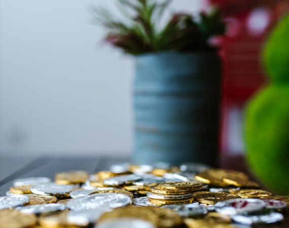 pexels photo 8370759