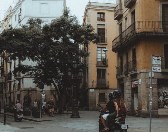 pexels photo 9902397