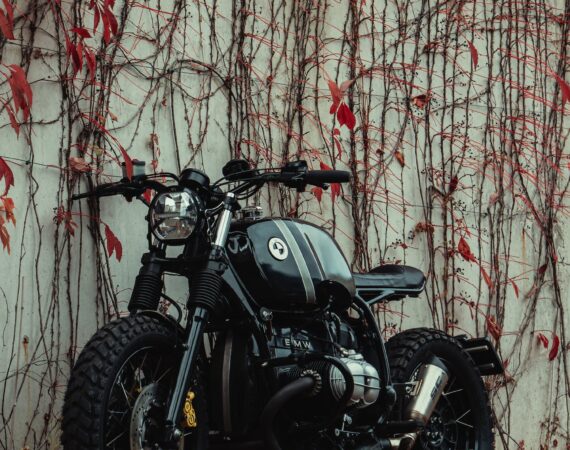 pexels photo 9920416