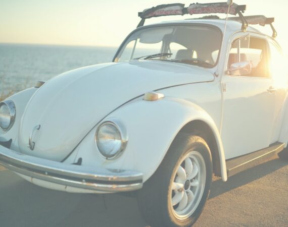 photo 1490985830292 06e0fe60d725