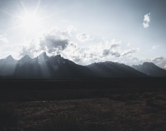 photo 1518713606418 eebd8ae74ba5